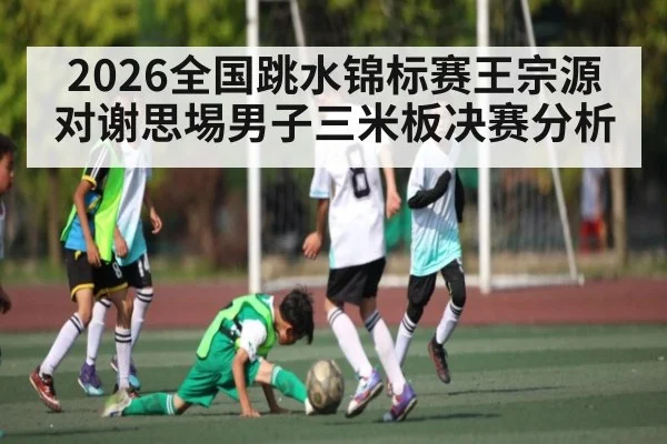 2026全国跳水锦标赛王宗源对谢思埸男子三米板决赛分析
